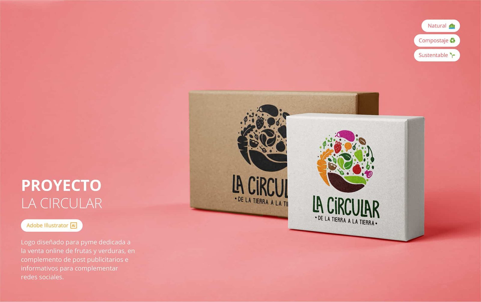 Diseño grafico Promo Web